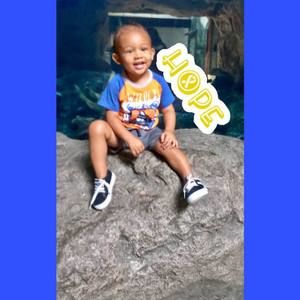 Meet your Posher, Morgan